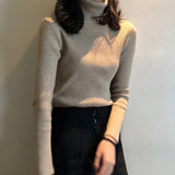Wjczt Autumn Winter Korean Women Pullover Sweaters Slim Women Turtleneck Basic Tops Casual New Knitted Sweater Soft Warm Jumper 8069